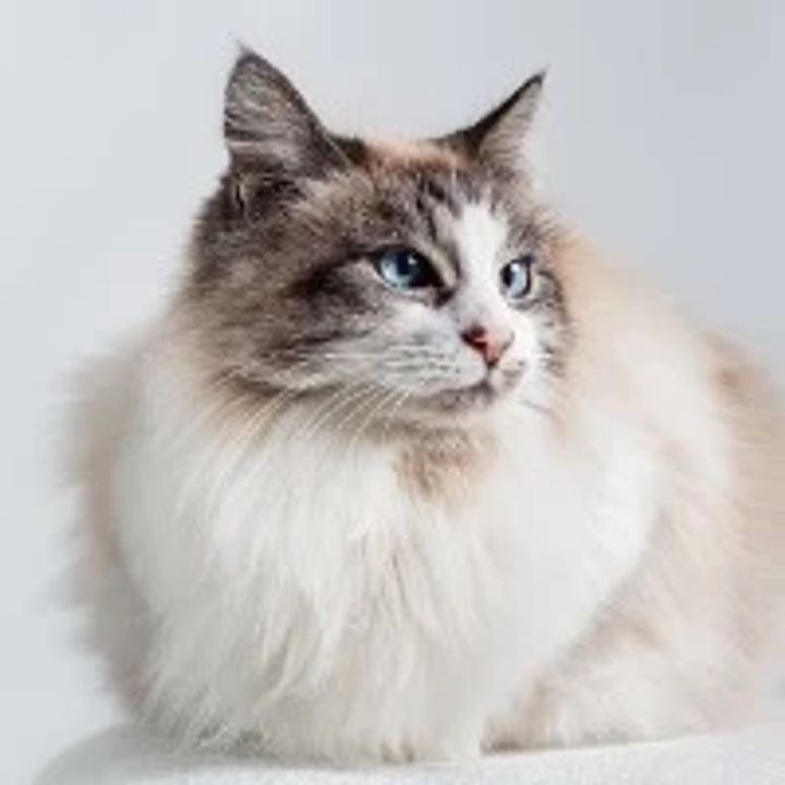 Location surf Seminyak